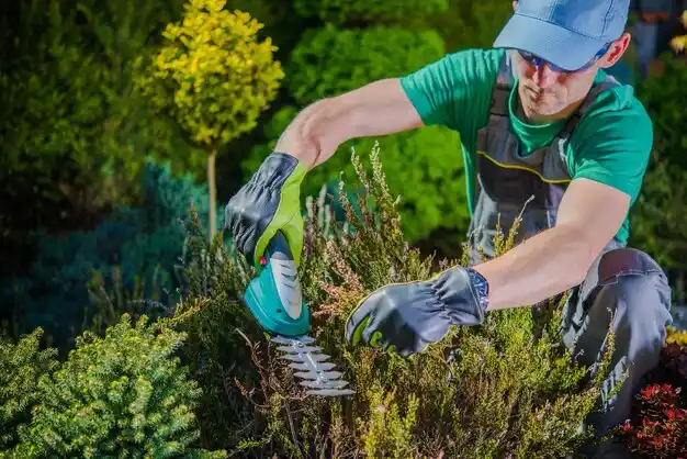 landscaping services New Pittsburg